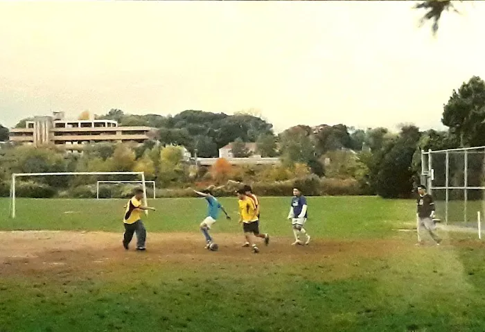 Woodward Avenue Park Picture 5