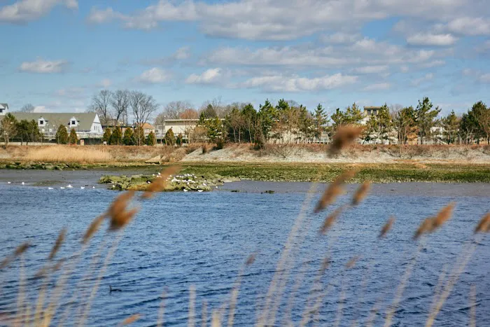 North Water Street Park Picture 6