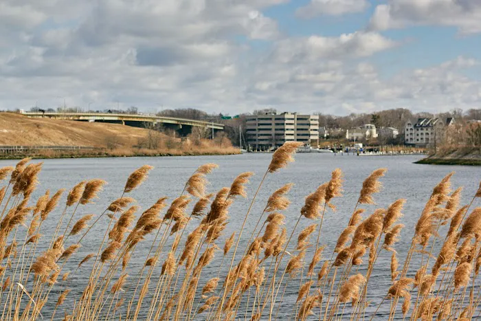 North Water Street Park Picture 3