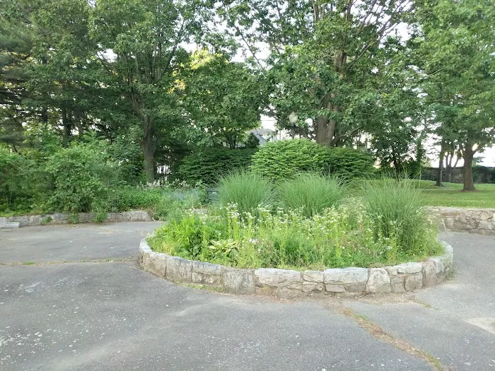 Fera Park Picture 3