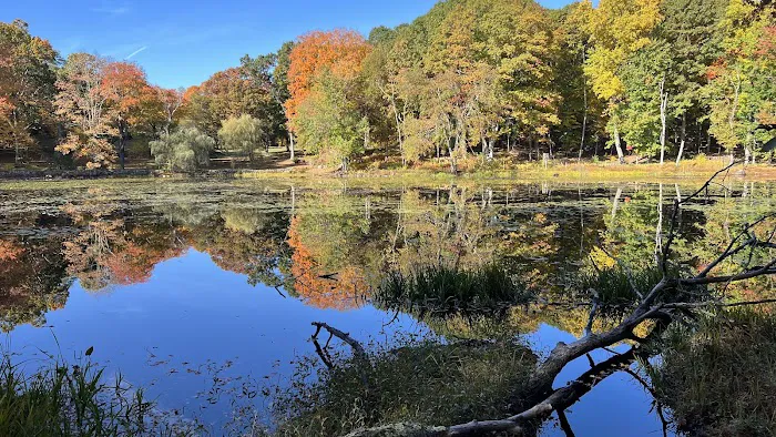 Sal J. Prezioso Mountain Lakes Park Picture 7