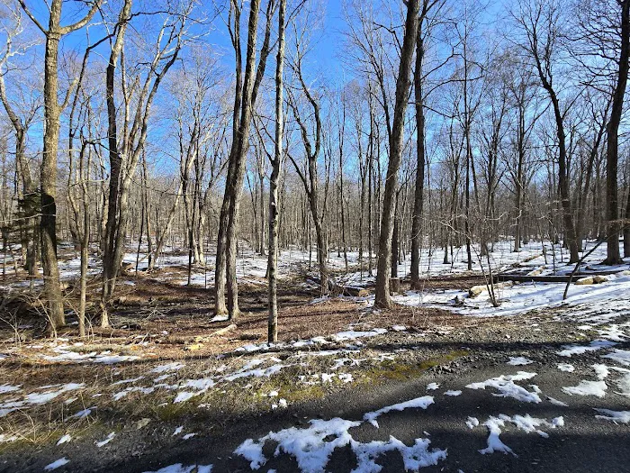 Sal J. Prezioso Mountain Lakes Park Picture 10