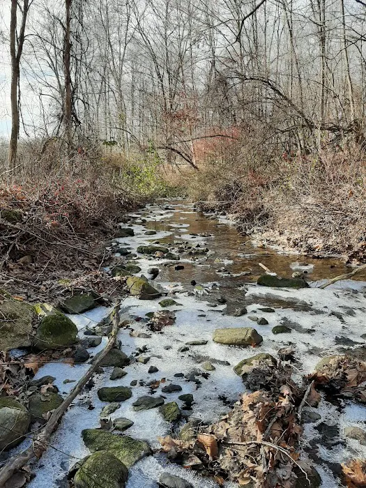 Durand Preserve Picture 2