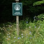 Lances Lippmann Preserve