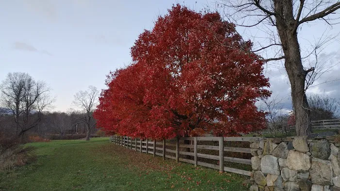 Baxter Preserve- The Racetrack Picture 7
