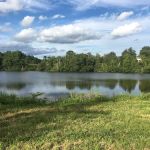 Baxter Preserve- The Racetrack