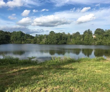 Baxter Preserve- The Racetrack