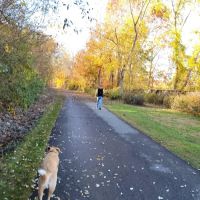 Croton Falls Reservoir Tributary ico