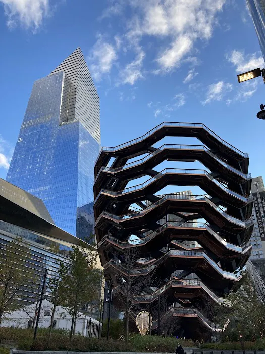 Backyard at Hudson Yards Picture 1