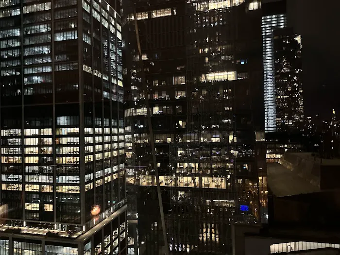 Backyard at Hudson Yards Picture 8