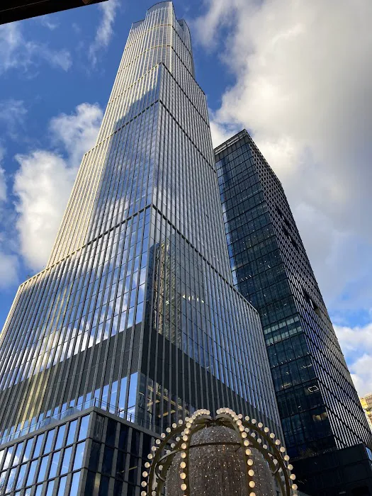 Backyard at Hudson Yards Picture 4