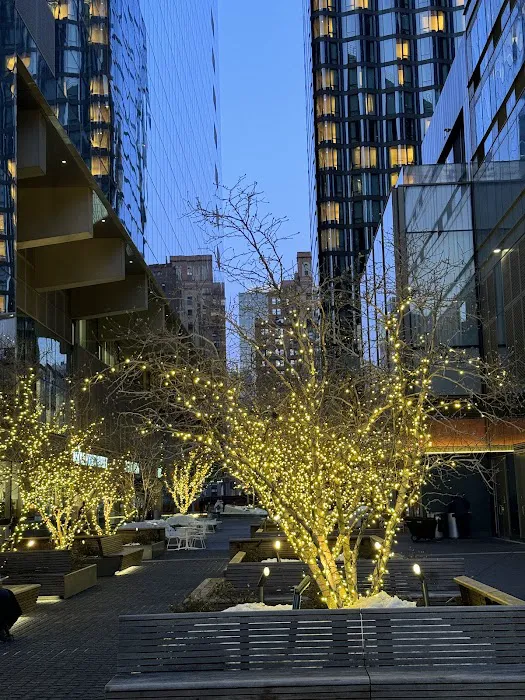 Begin/End High Line Park Picture 10