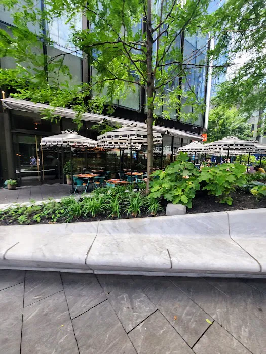 Begin/End High Line Park Picture 2