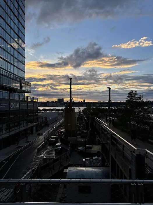 High Line Interim Walkway Picture 5