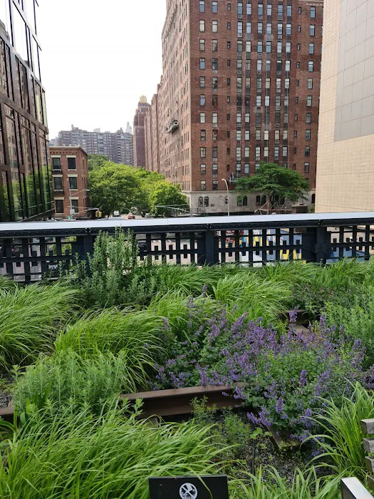 High Line Interim Walkway Picture 9