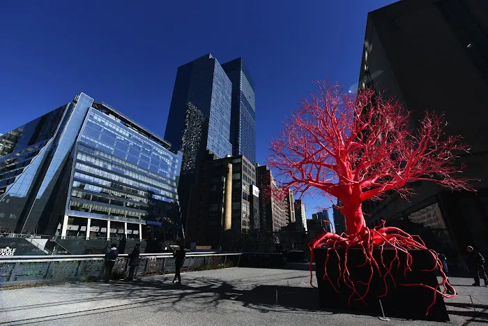 High Line Interim Walkway Picture 4