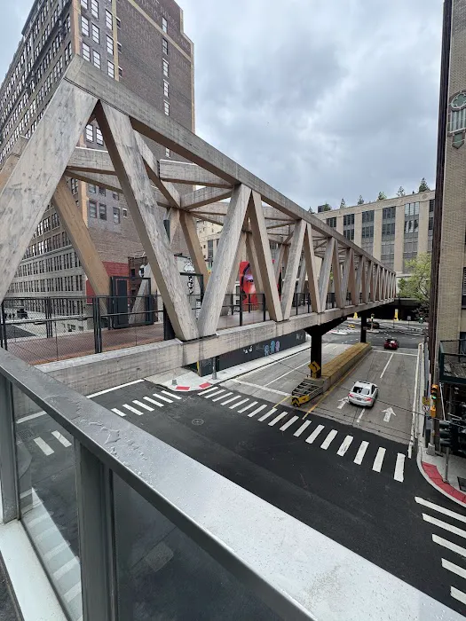 High Line – Moynihan Connector Picture 2