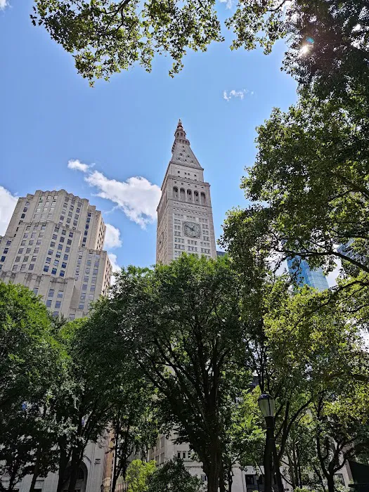 Madison Square Park Reflecting Pool Picture 6