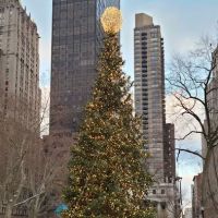 Madison Square Park Reflecting Pool ico