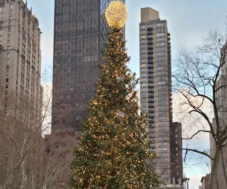 Madison Square Park Reflecting Pool