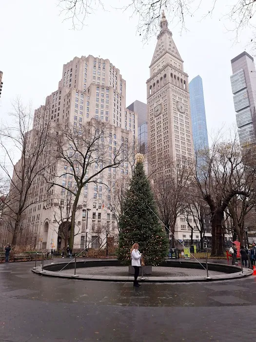 Madison Square Park Reflecting Pool Picture 10