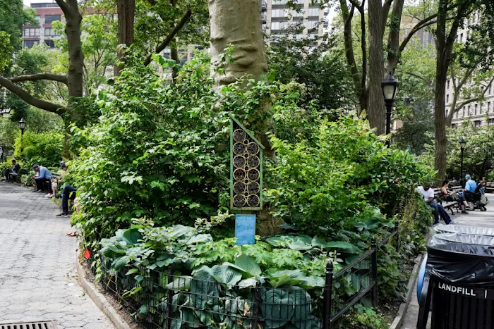 Bee Homes Picture 4