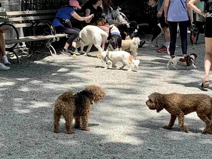 Jemmy's Dog Run Picture 7