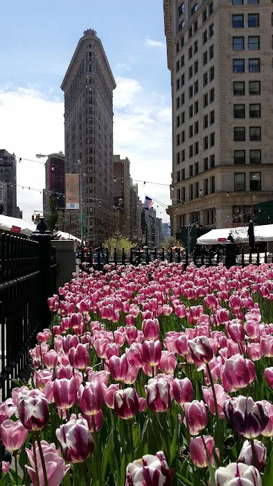 Worth Square Picture 9