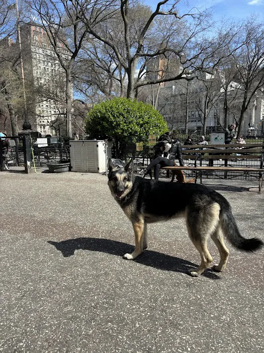 Union Square Dog Run Picture 10