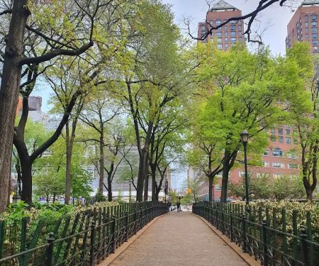 Union Square Dog Run