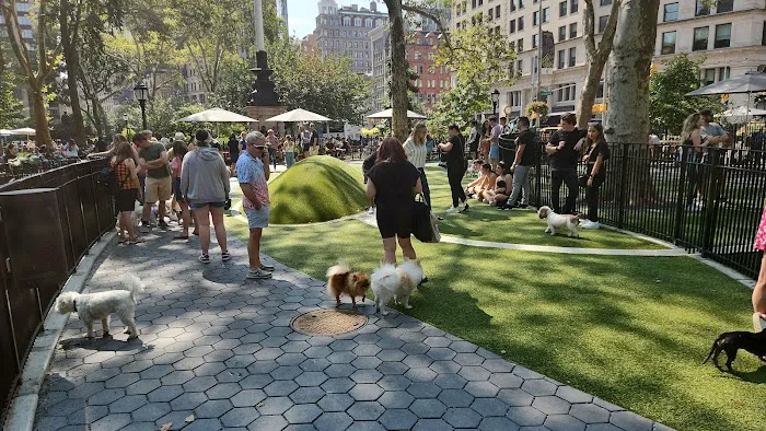 Union Square Dog Run Picture 5