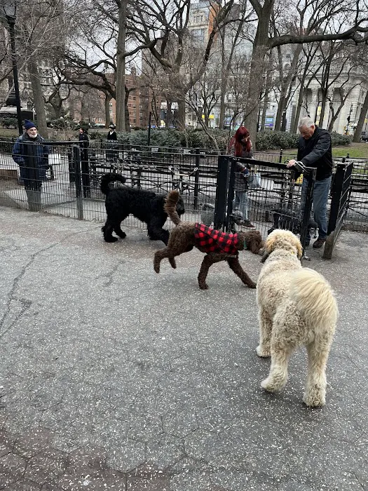 Union Square Dog Run Picture 9