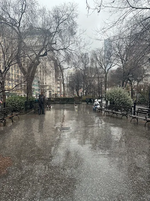 Union Square Dog Run Picture 4