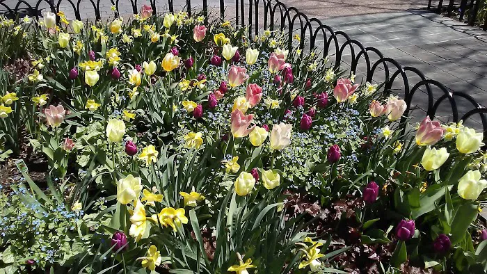 Battery Park City Parks Picture 3
