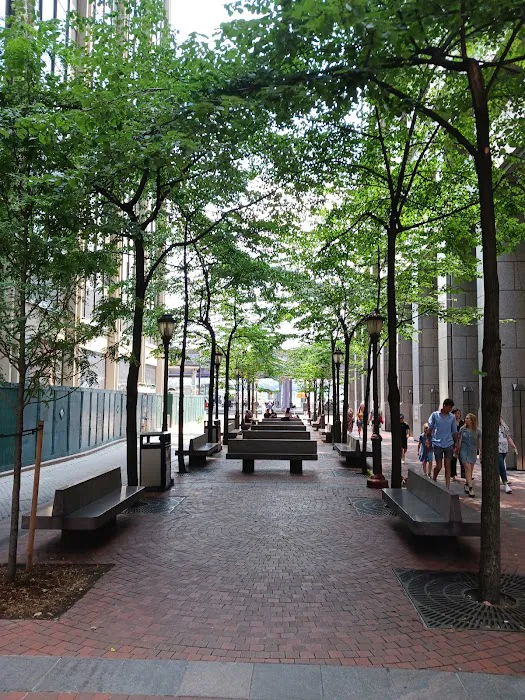 Bennett Park Picture 3