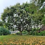 Battery Park City Esplanade