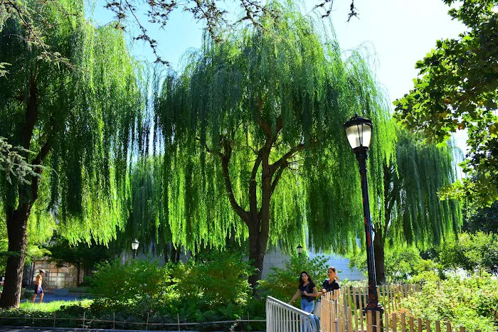 South Cove Park Picture 6