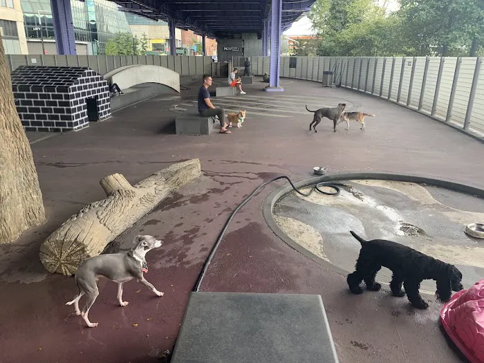 Parks Dog Run Picture 4