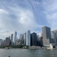 Parks Dog Run ico