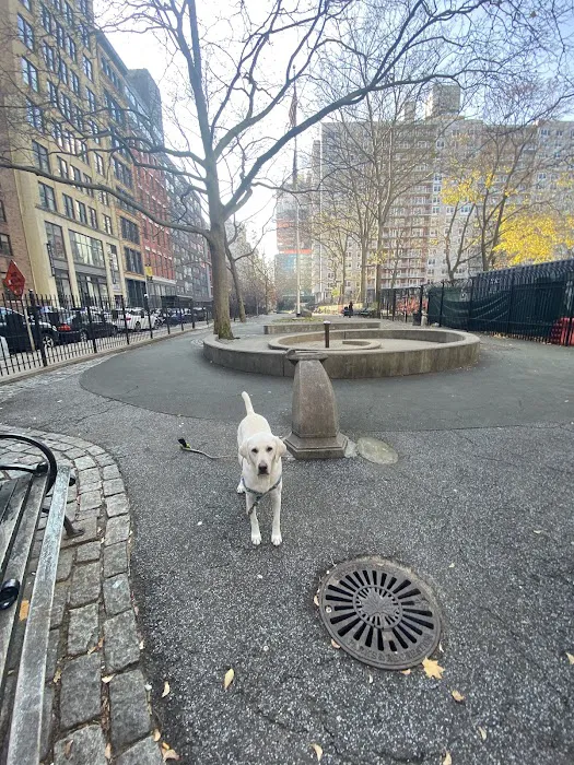 Robin Kovary Dog Run for Small Dogs Picture 6