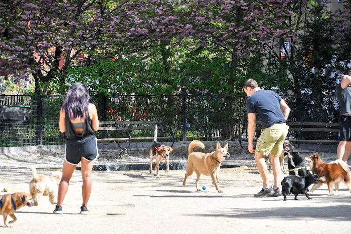 Robin Kovary Dog Run for Small Dogs Picture 2