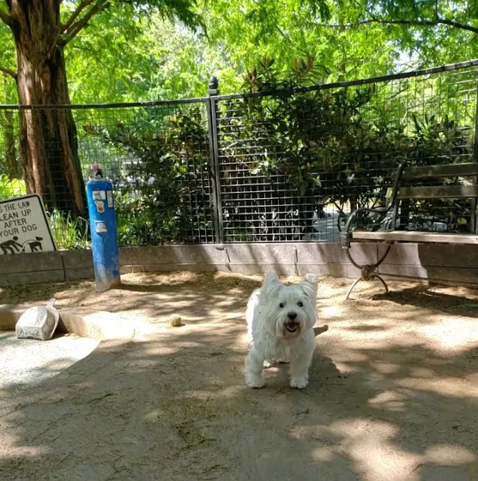 Robin Kovary Dog Run for Small Dogs Picture 4