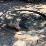 52 Washington Square S
