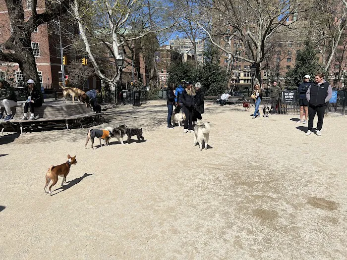 Washington Square Park Dog Run Picture 1