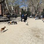 Washington Square Park Dog Run
