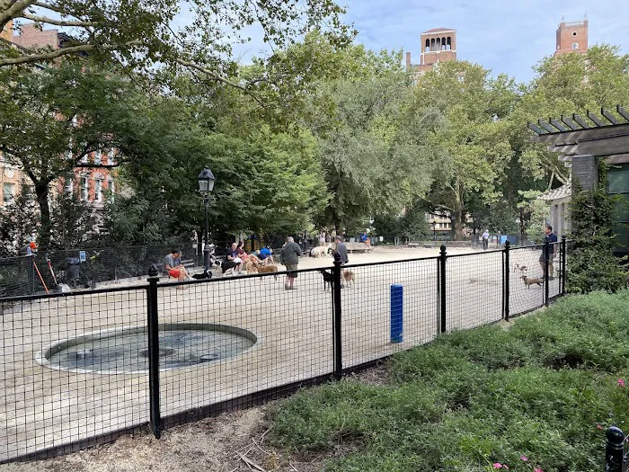 Washington Square Park Dog Run Picture 7