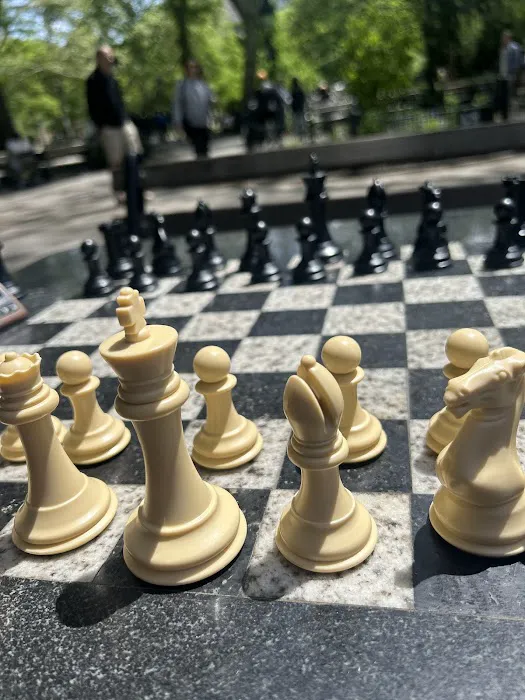 Washington Square West Chess Tables Picture 7