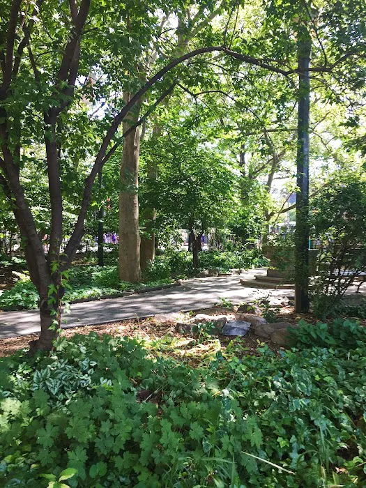 Golden Swan Garden Picture 3