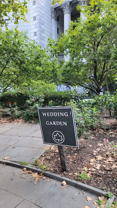 Wedding Garden Picture 6