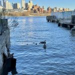 Jerry Driscoll Walk